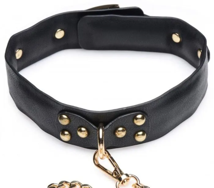 Master Series Golden Submission Bondage Set XR Brands Couples