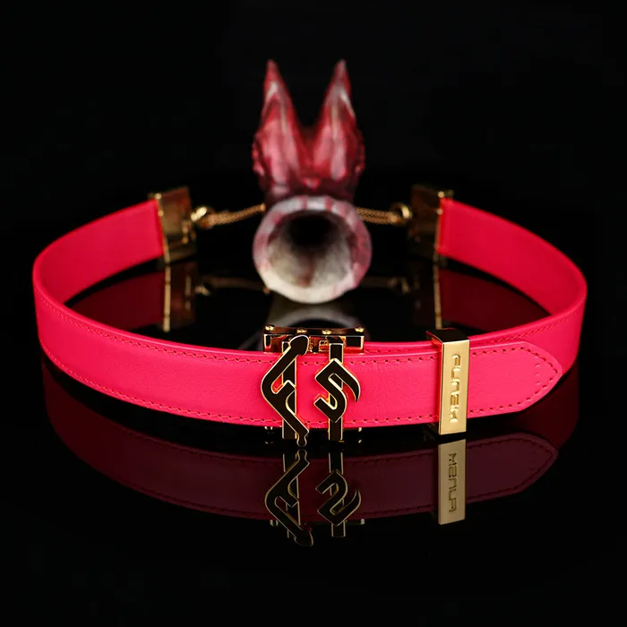 Blazing Blade Ball Gag Ultimate BDSM Bondage Sex Toy for Intense Control Sensuality Domlust Couples