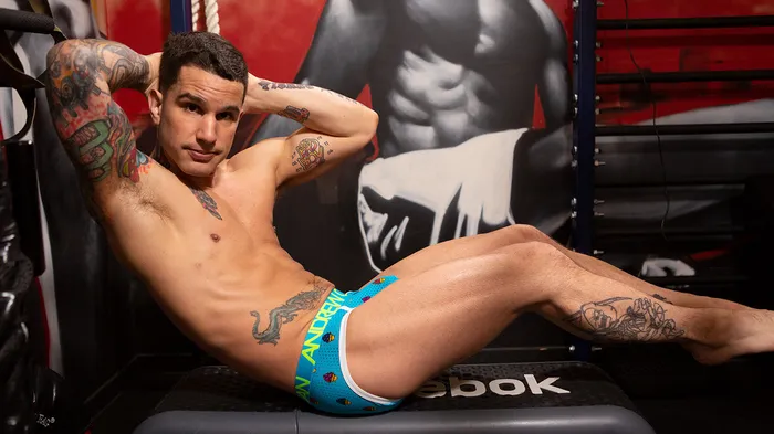 Vibrators Pierre Fitch Fleshlight